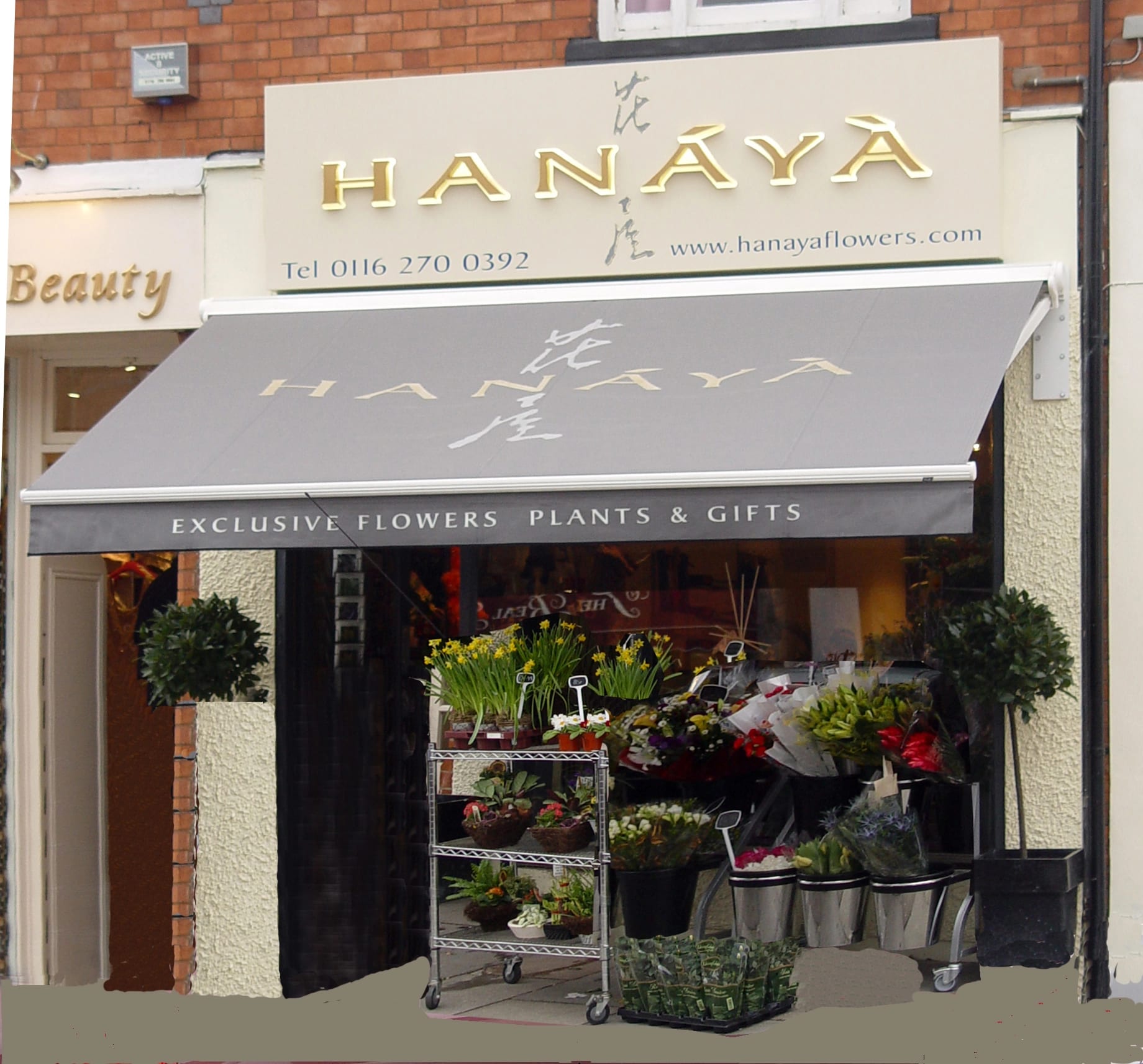 hanaya awning